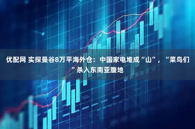 优配网 实探曼谷8万平海外仓：中国家电堆成“山”，“菜鸟们”杀入东南亚腹地